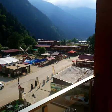 My Hotel 2*