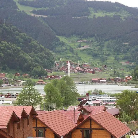My Hotel