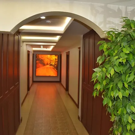 Hotel My