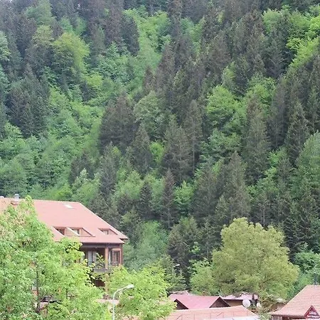 My Hotel 2*